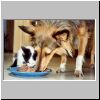Ein Bild mit Seltenheitswert: Susi und Daisy beim gemeinsamen Fressen.